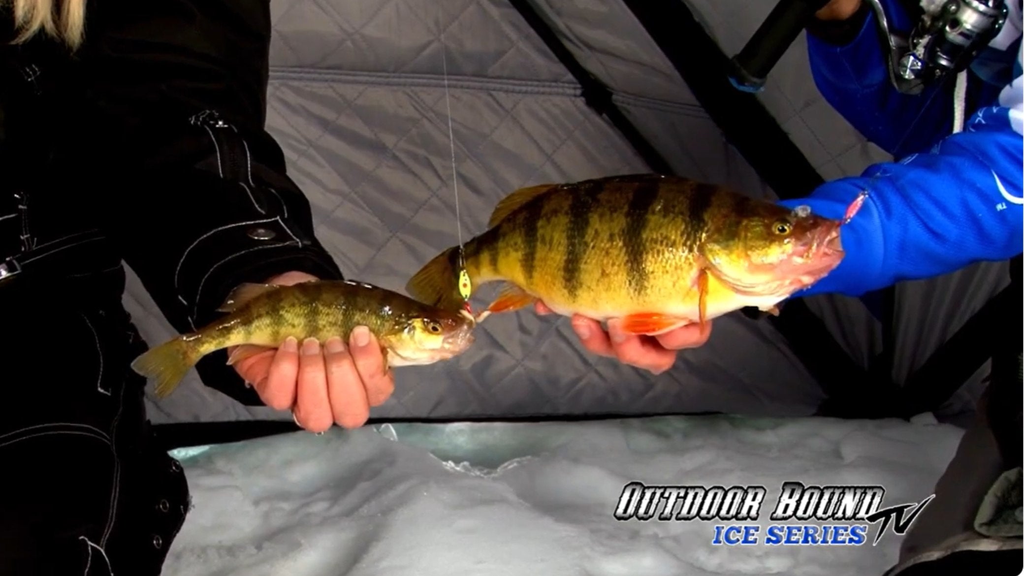 Ice Fishing for Perch on Devils Lake with PK Lures